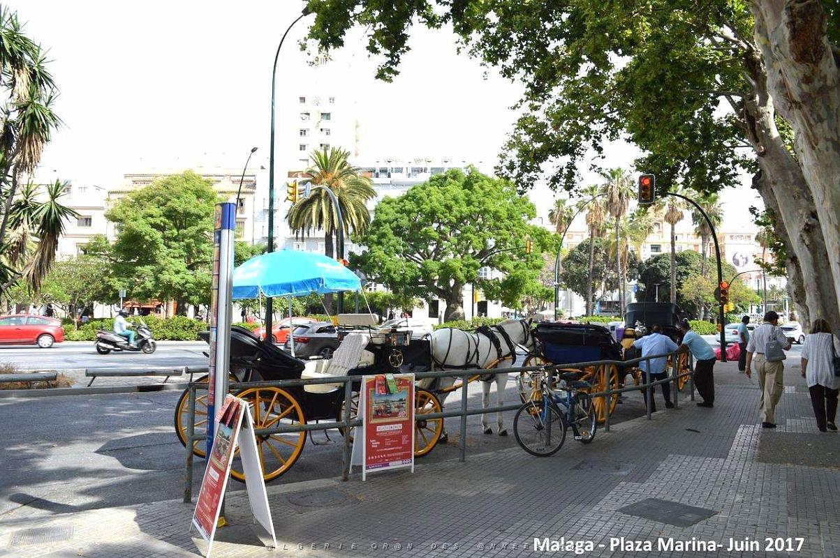 062- Malaga Plaza Marina.JPG